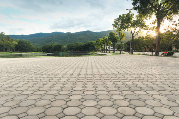 Best Paver Driveway Replacement  in West Odessa, TX